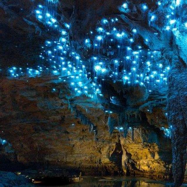 Waitomo Glow Worm Cave "Blackwater Rafting"