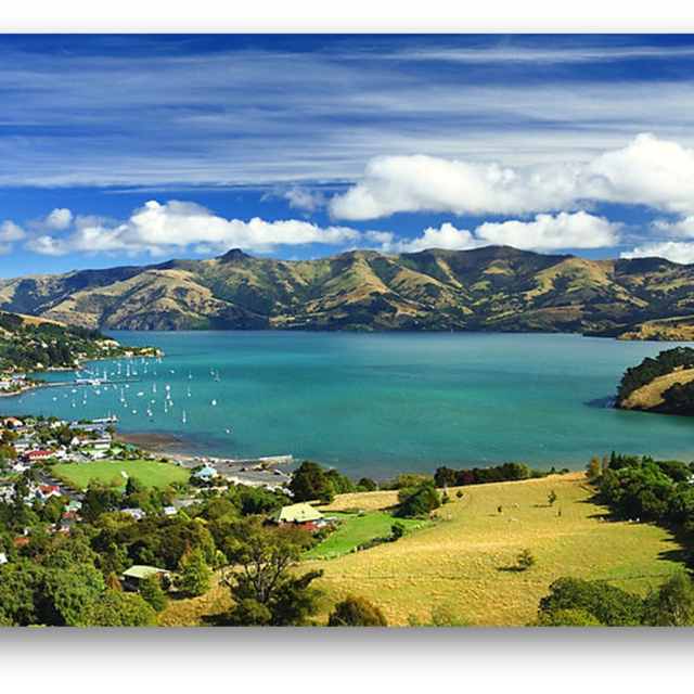 Akaroa Harbour Nature Cruise