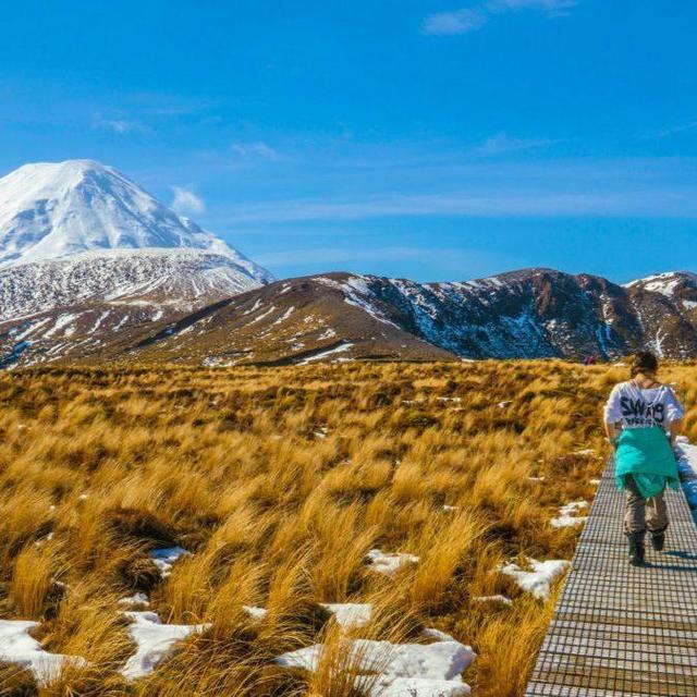 Guided Hike in Tongariro National Park