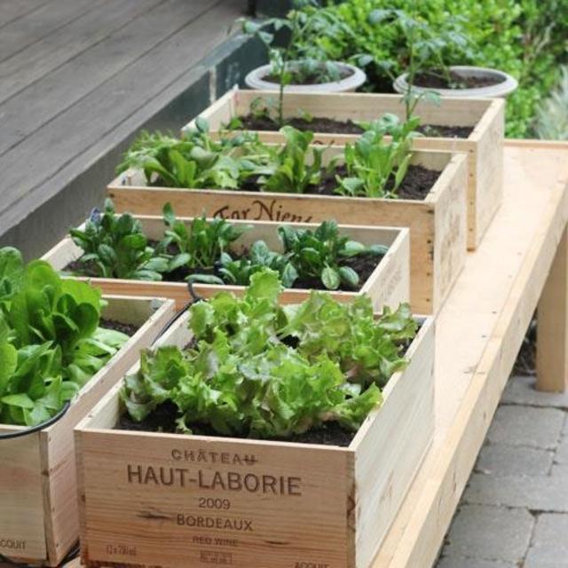Home Garden Fund