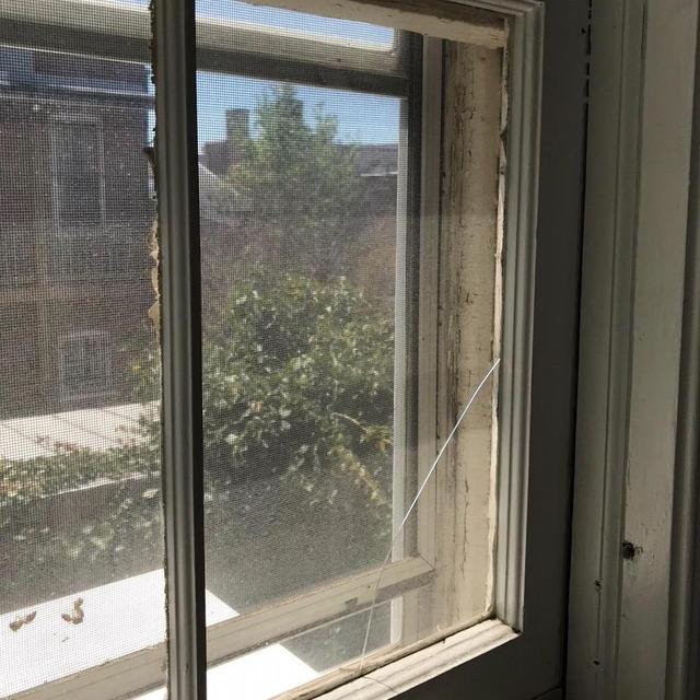 Window #4 - Rear, Upstairs Window Replacement