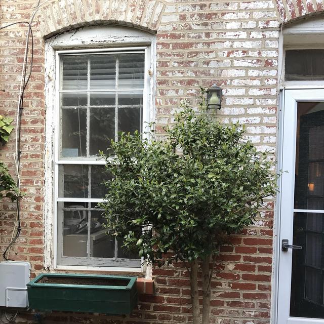 Window #4 - Pine Exterior