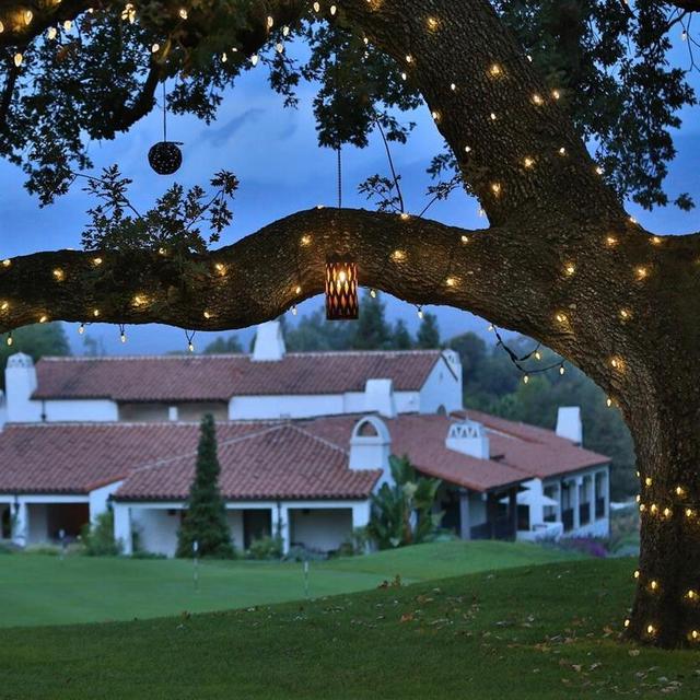 Dinner For Two at the Oak