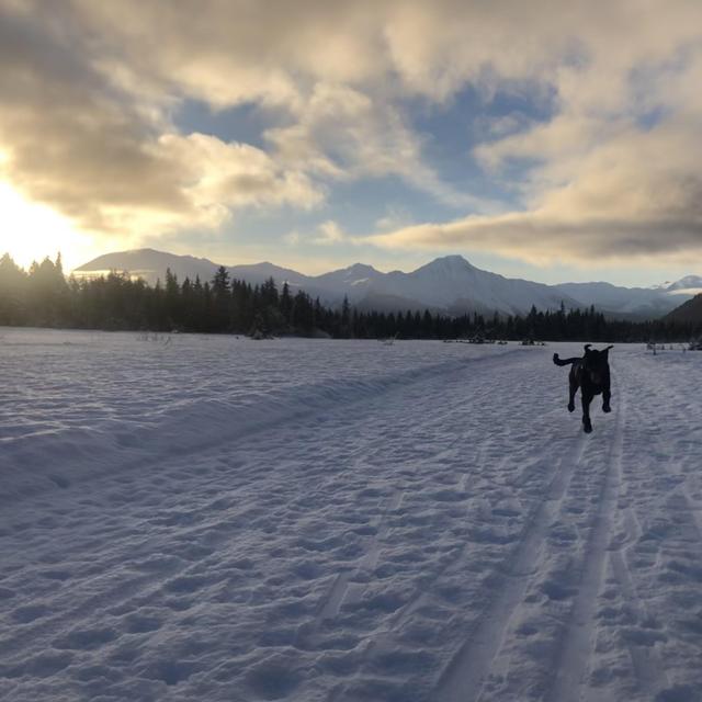 Donate to the Trails Project