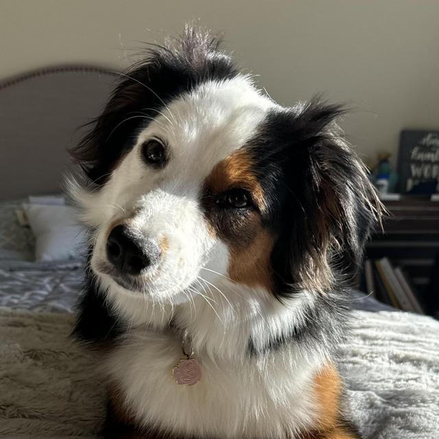 Taking care of Rosie 10/1/25-10/10/25