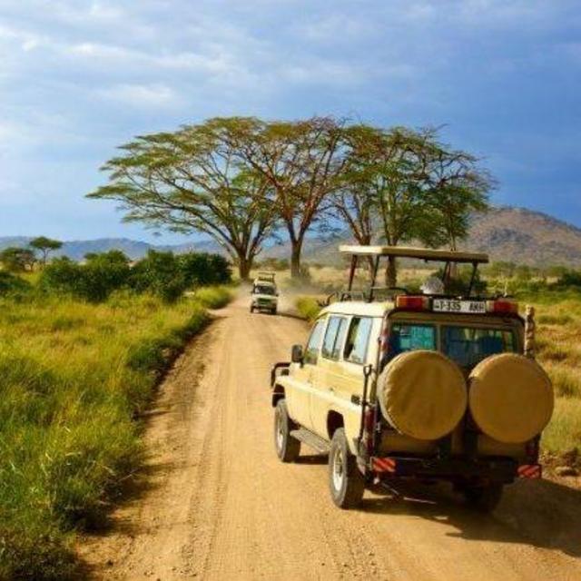 Linyanti Reserve Game Drive