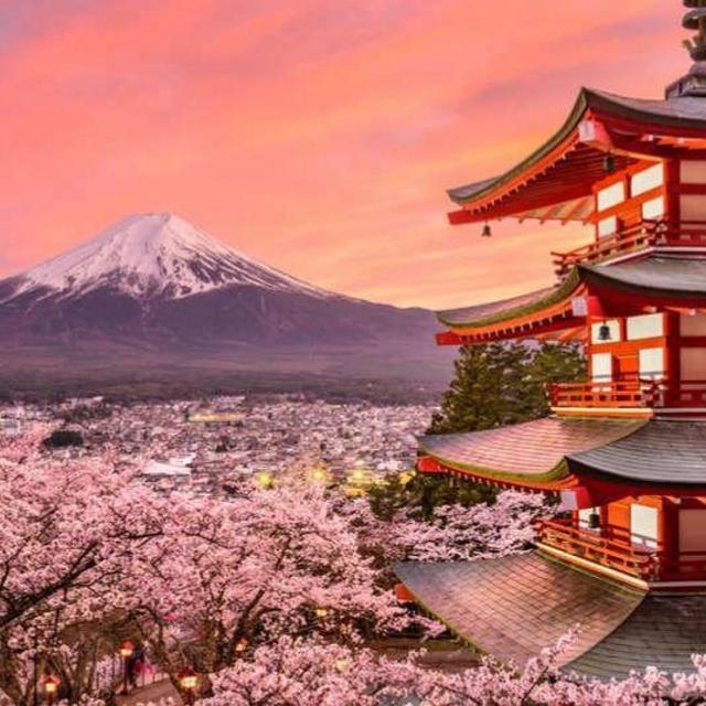 Our Fund for a Honeymoon in Japan