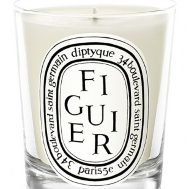 Figuier / Fig Tree