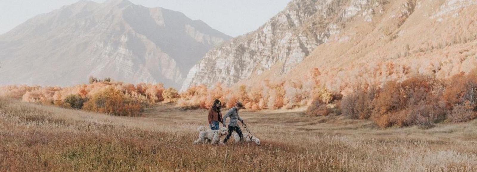 Rachel Rigby and Casey Lavallee's Wedding Registry on Zola