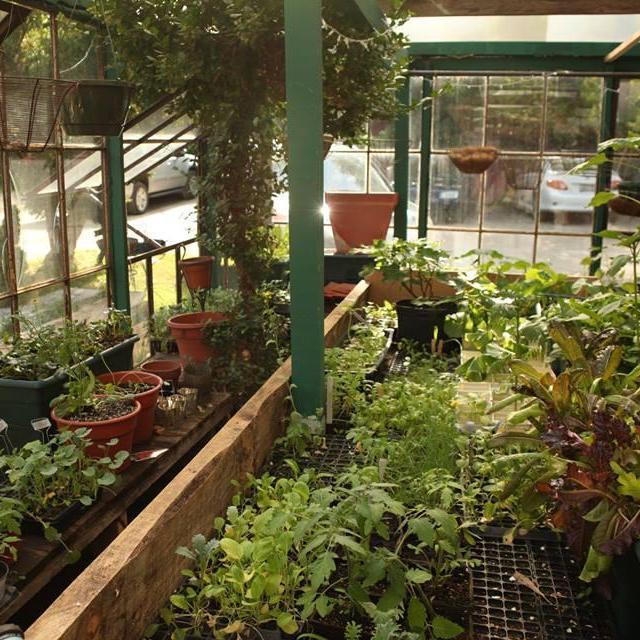 Greenhouse Fund