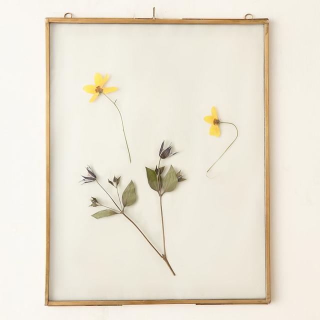 Brass Specimen Frame, Extra Large