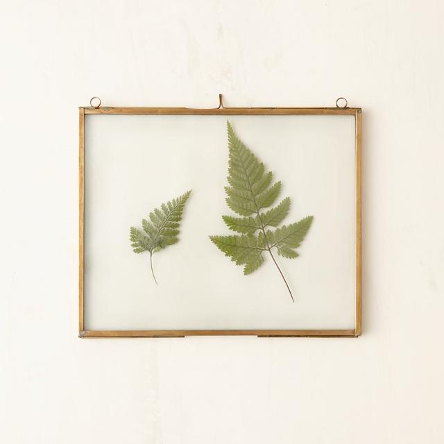 Brass Specimen Frame, Large