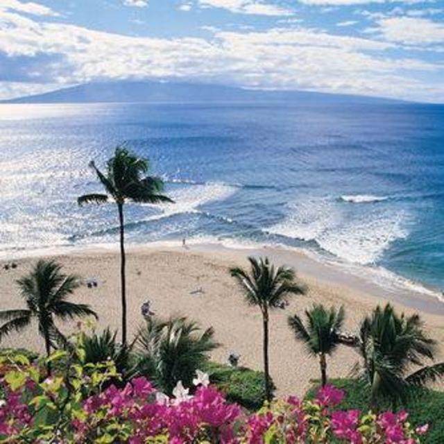 Maui-moon Fund