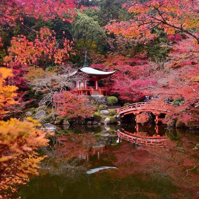 Honeymoon in Japan