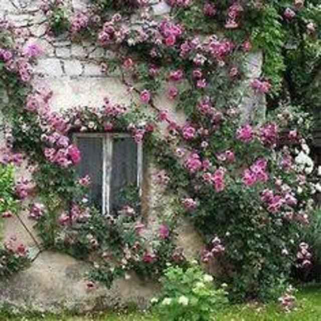 Honeymoon Lodging