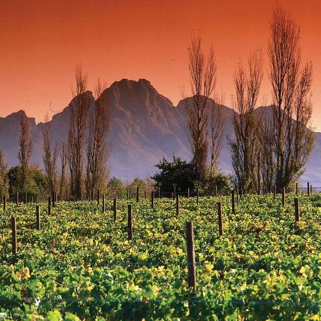 Honeymoon | Franschhoek