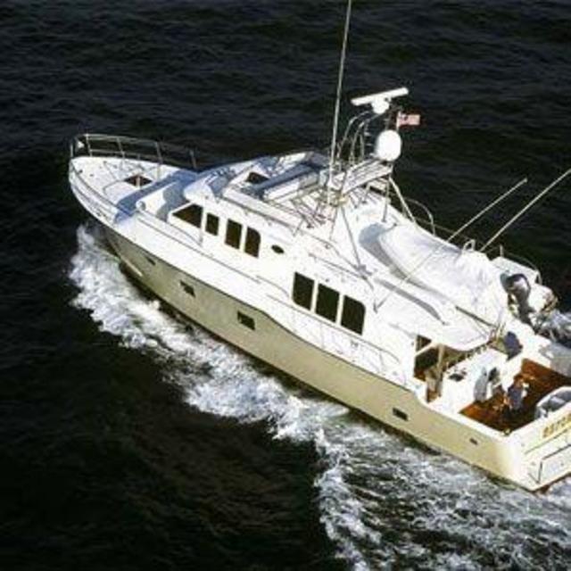 Boat Captain Course for Cat 🌊