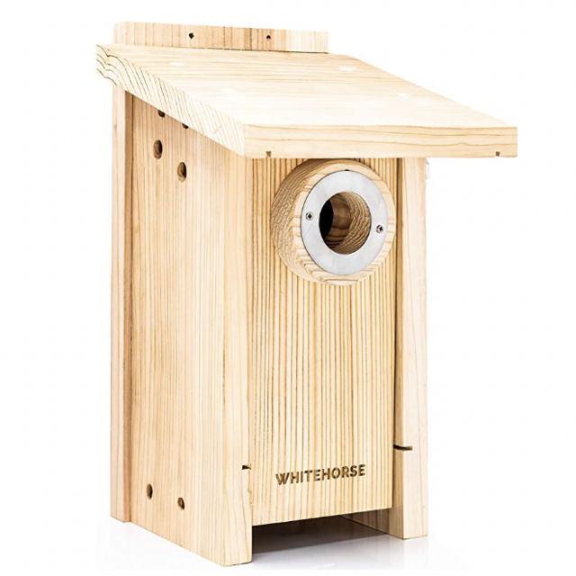 Cedar Bird House