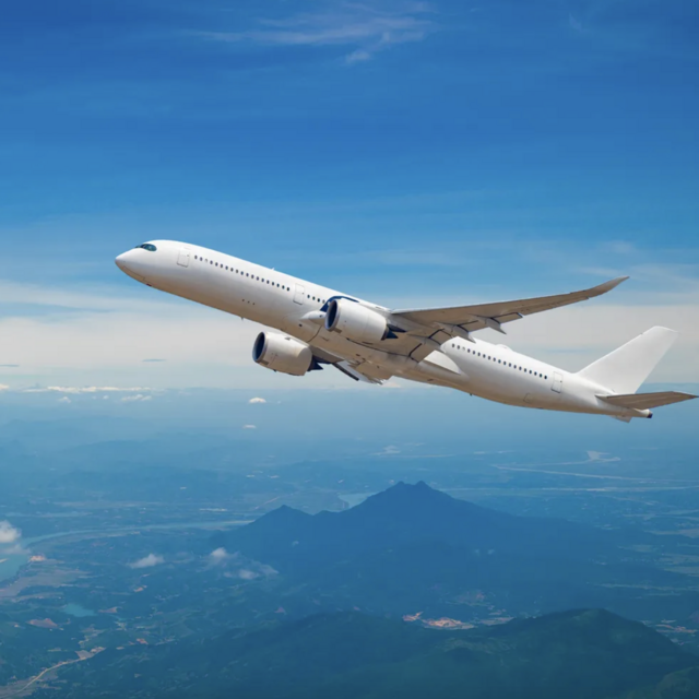 Honeymoon Flight