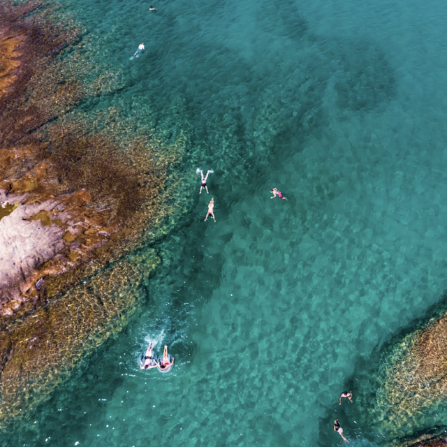 Snorkeling Tour