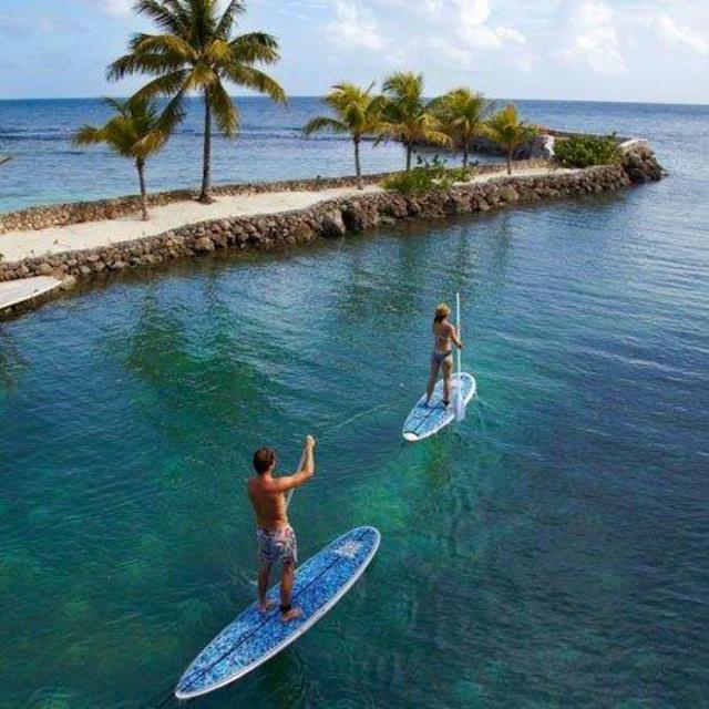 Paddle Board Rentals
