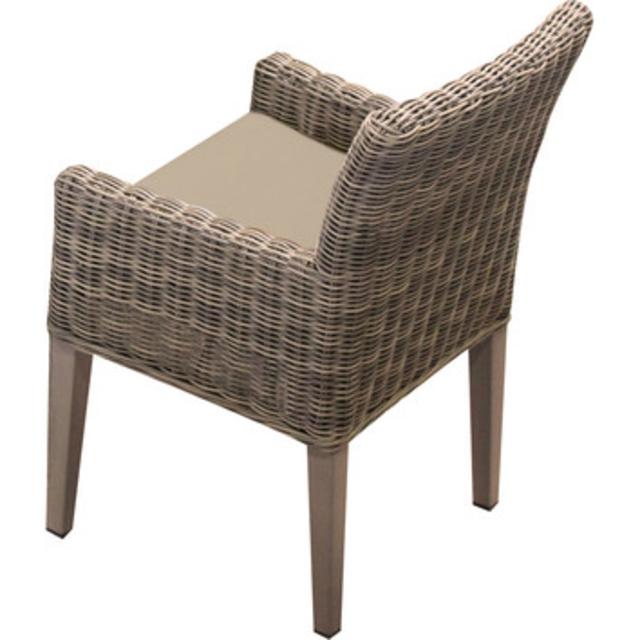 Cape Cod Dining Arm Chair with Cushion (Set of 2)                        by                    TK Classics