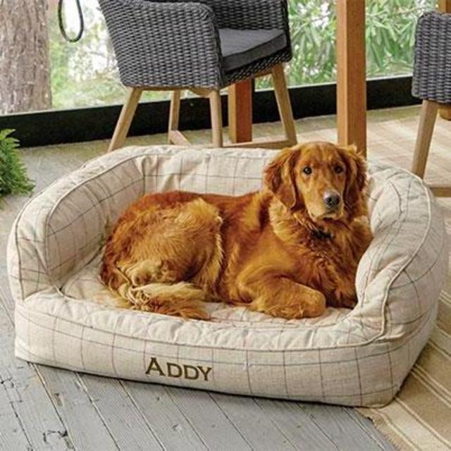 Orvis Memory Foam Couch Dog Bed