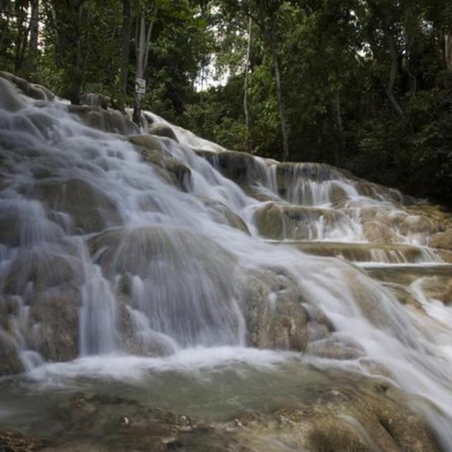 Dunns River Falls Hike