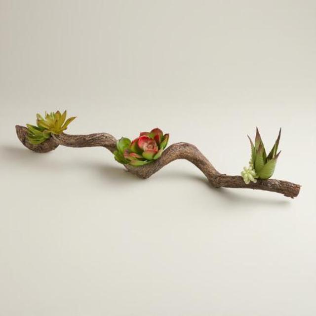 Succulent Branch Decor
