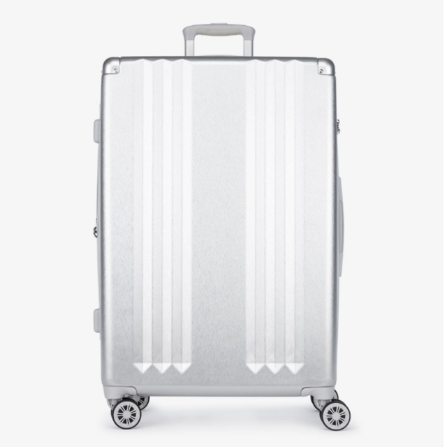 Calpak Ambeur Large Luggage (Silver)