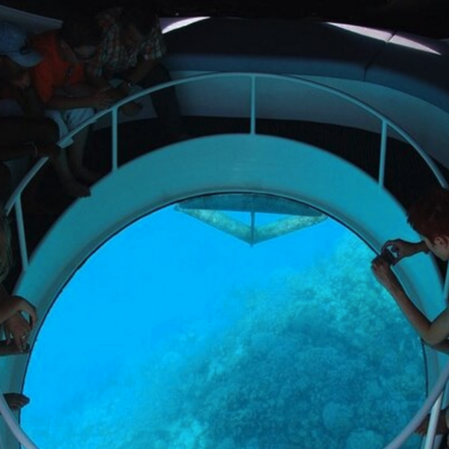 Glass Bottom Boat Tour & Snorkeling (honeymoon excursion)