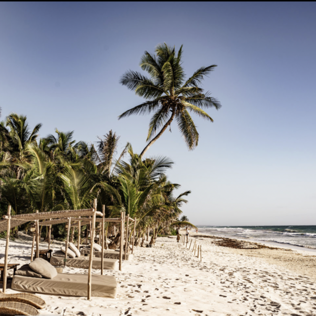 Honeymoon Fund- Tulum, Mexico