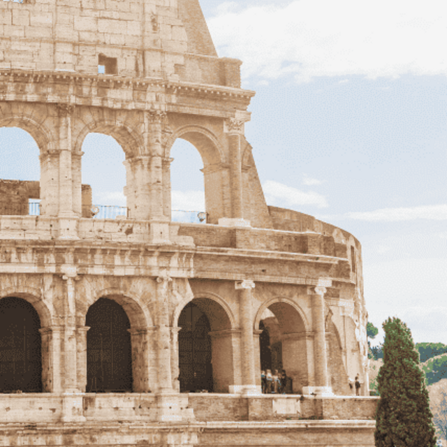 Honeymoon Fund: Guided Colosseum Tour