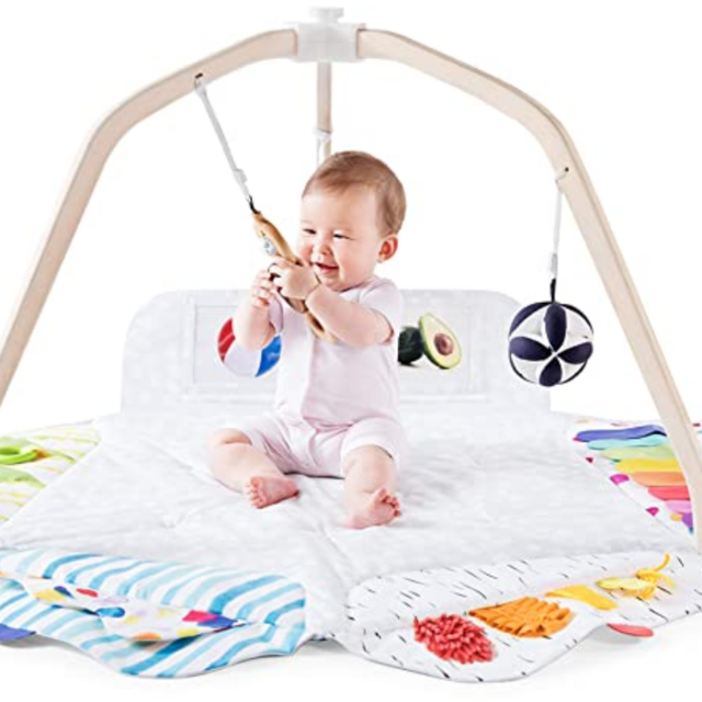 The Play Gym by Lovevery