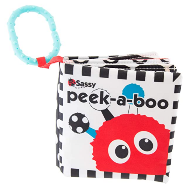 Sassy Peek-a-Boo Activity Book