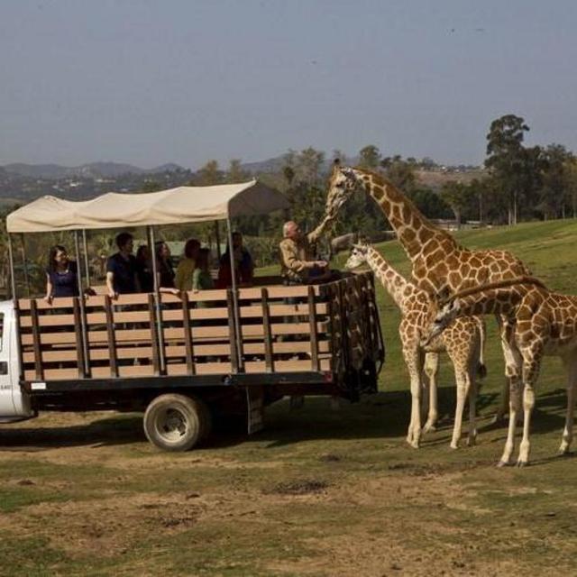 Deluxe Wildlife Safari at the San Diego Safari Park