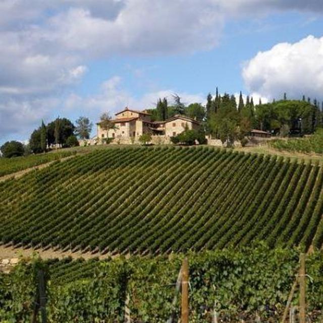 Vineyard tour in Italy