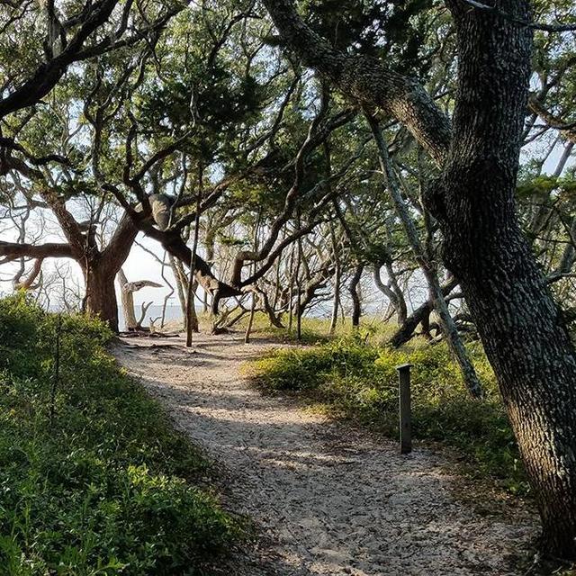 Ocracoke Honeymoon Fund