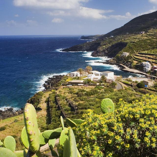 Honeymoon Fund; See Venmo/Zelle above