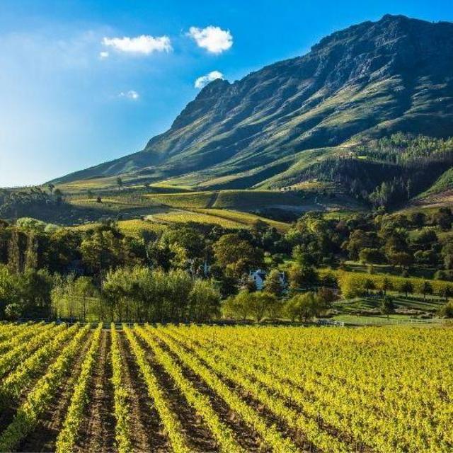Wine tasting in Stellenbosch, South Africa