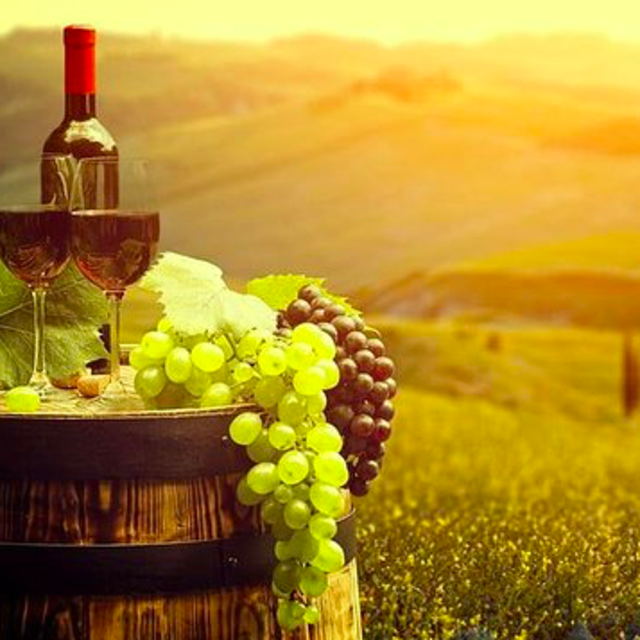 Italy Honeymoon: Tuscany Wine Tour