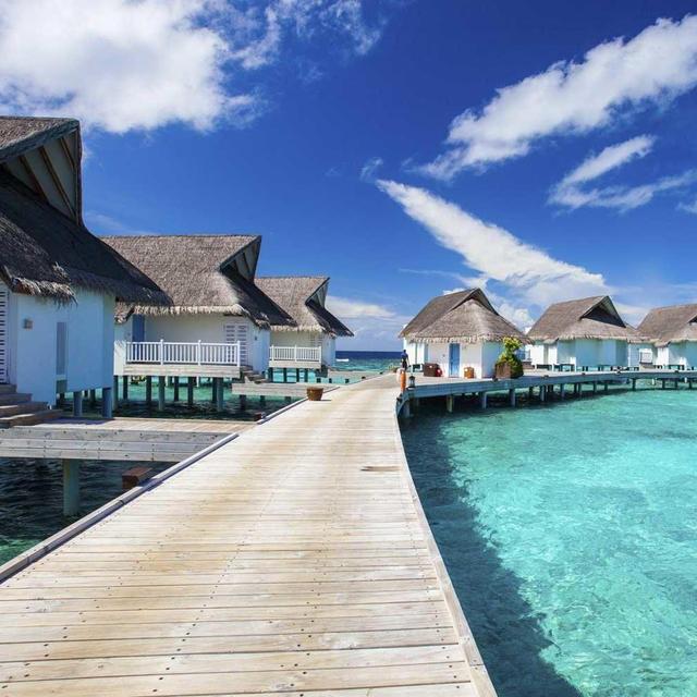 Honeymoon Fund