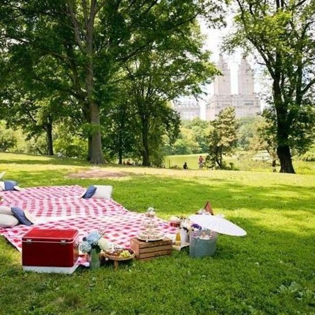 Picnic for Two in Central Park