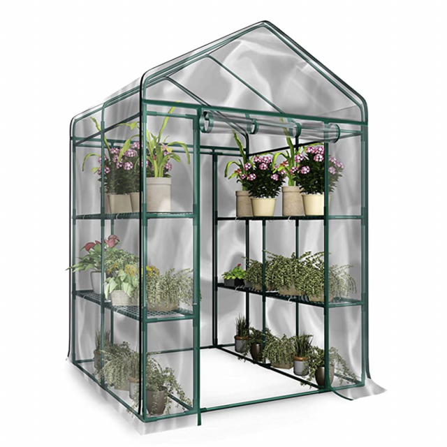 Greenhouse