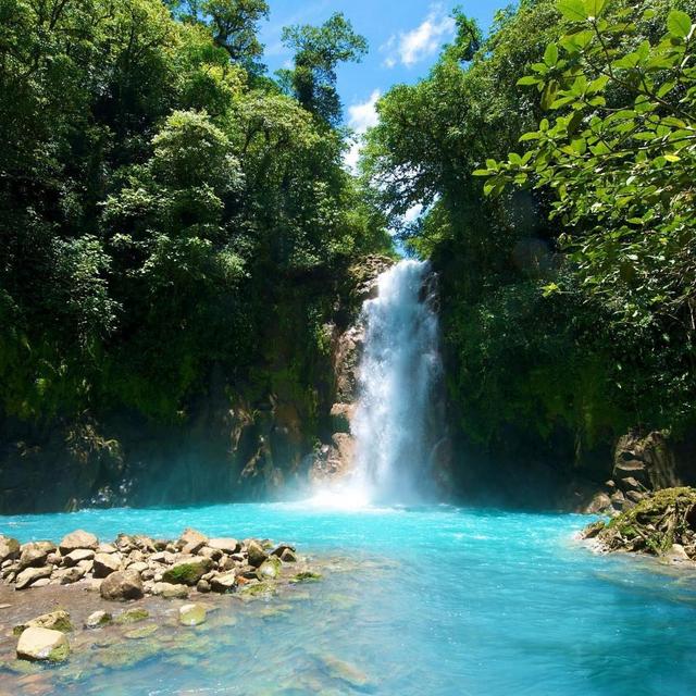 South America Honeymoon Fund (Venmo)