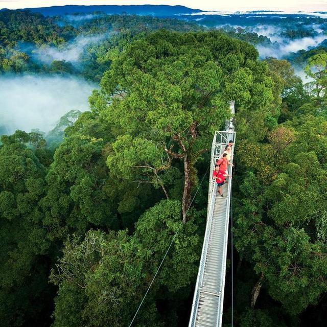 Honeymoon Excursion: Cloud Forest Tour