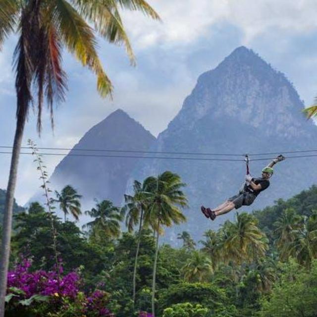 Ziplining Tour!