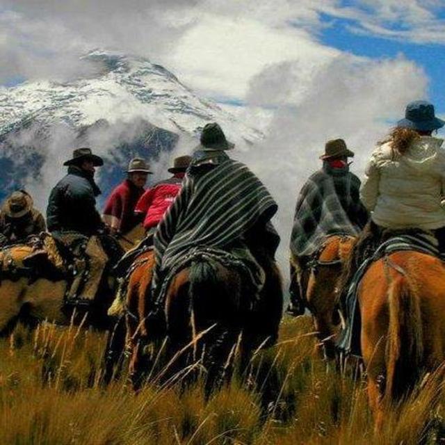 Horseback Riding + BBQ Experience in Mendoza