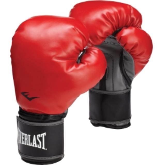 Everlast 12 oz Classic Training Gloves