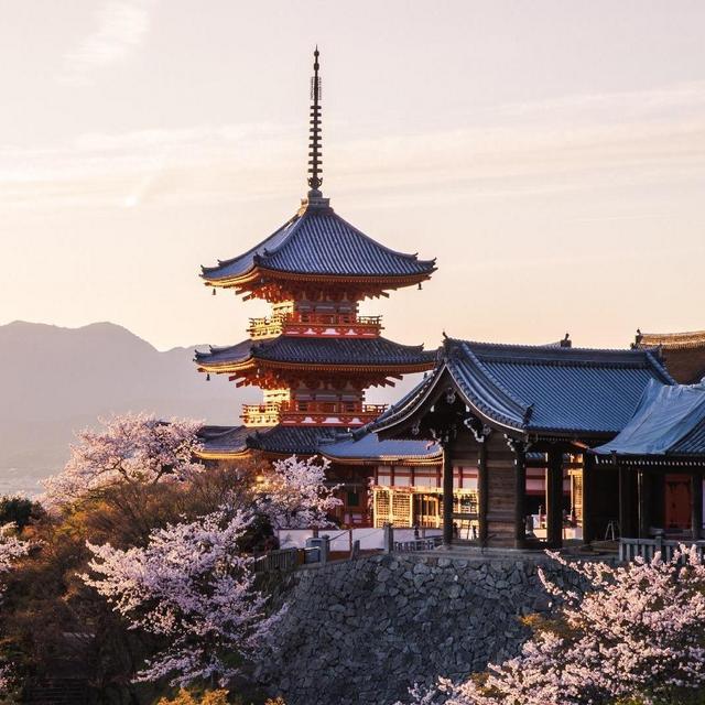 Honeymoon Excursion: Temple and Shrine Admissions